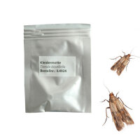 Pheromonkapsel Tineola bisselliella (Kleidermotte)