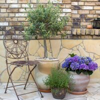 Wuxal® Mediterrane Pflanzen 1 L –...