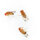 Naturid® Fruchtfliegenfalle 2 × 15 ml – Falle gegen Obstfliegen & Essigfliegen