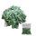 JADE GRAIN | Profi-Getreideköder 20x25g