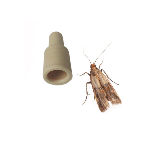 Rubberlure Lebensmittelmotten