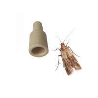 Rubberlure Lebensmittelmotten