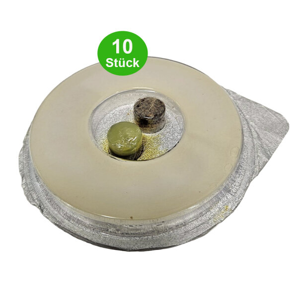 Käferfalle X-Lure MST | Nachfüllpackung 10 Stück