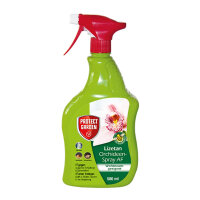 Lizetan Orchideen-Spray AF 500ml